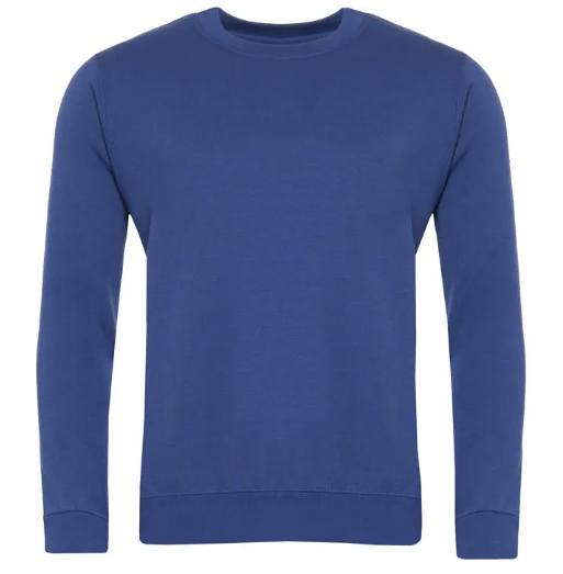 Ysgol Twm o'r Nant Sweater Small/Medium Royal 3SD