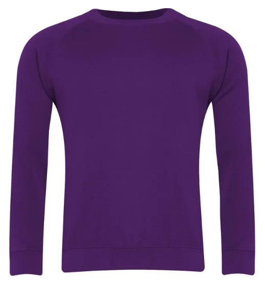 3SX Classic Crew Neck Sweatshirt Adults