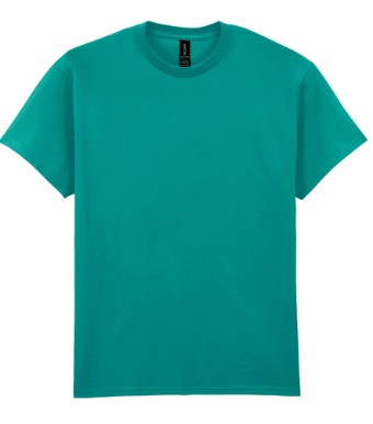 Stand North Wales - GD02 T-Shirt with Welsh Logo (£12.12 inc VAT)