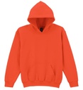 PitT Hopkins Adults GD57 Hoodie (£14.06 Inc VAT)