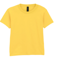 Stand North Wales - GD02 T-Shirt with English Logo (£12.12 inc VAT)