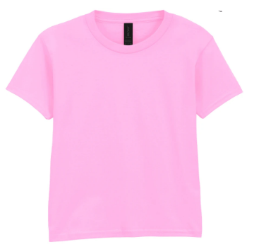 Stand North Wales - GD02 T-Shirt with English Logo (£12.12 inc VAT)