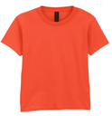 Stand North Wales - GD02 T-Shirt with English Logo (£12.12 inc VAT)