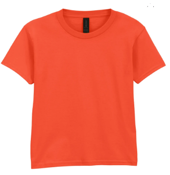 Stand North Wales - GD02 T-Shirt with English Logo (£12.12 inc VAT)