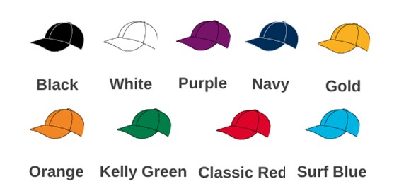 PitT Hopkins BB10 Adults Cap with Embroidery (£7.12 inc VAT)