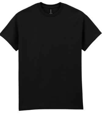 Stand North Wales - GD02 T-Shirt with English Logo (£12.12 inc VAT)