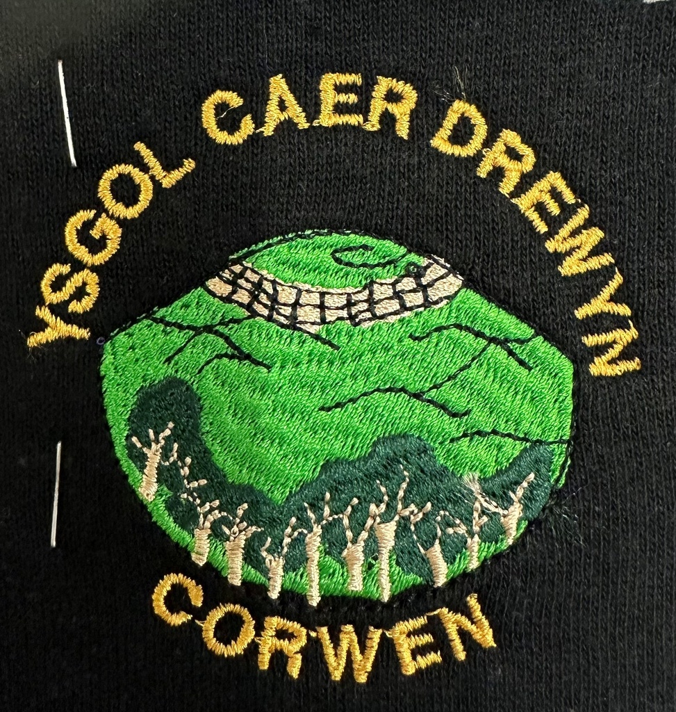Ysgol Caer Drewyn White Polo Shirt