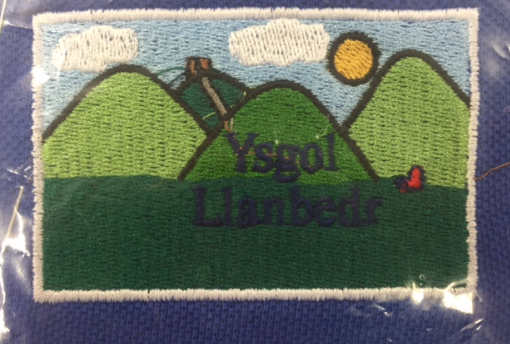 Ysgol Llanbedr Polo Shirt Small/Medium (Navy/White)