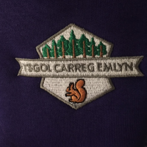 Ysgol Carreg Emlyn Cardigan Small/Medium (Purple) 3SC