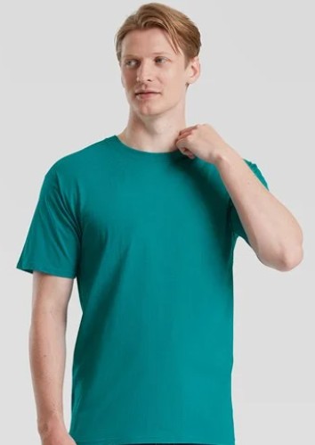 SS422 Iconic Ringspun Premium T
