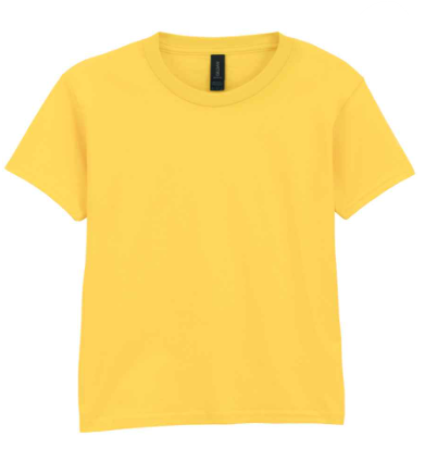 PitT Hopkins Kids GD01B T-Shirt with Sleeve Logo