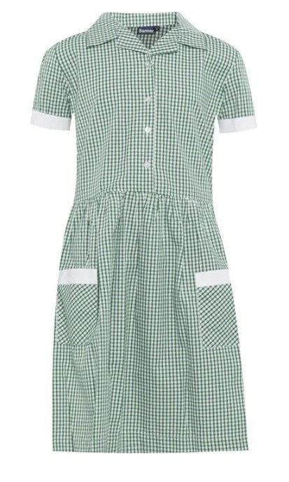 Ysgol Llanfair Gingham Dress Green