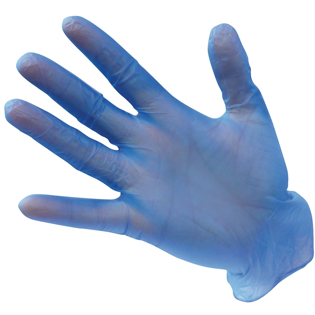 A905 Powder Free Vinyl Disposable Glove