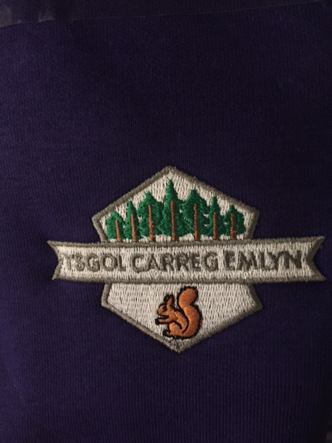 Ysgol Carreg Emlyn Sweater (Purple) 3SR