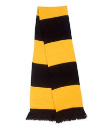 RS146 Result Team Scarf