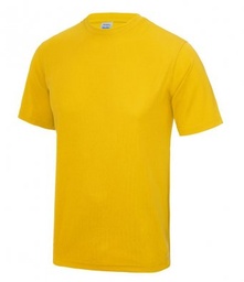 Brynhyfryd Awdis Gold Cool Wicking T-Shirt (XS – XXL) ( £7.98 INC VAT)