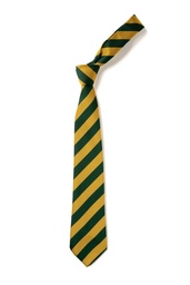 [EBS7452] Ysgol Brynhyfryd Ysgol Brynhyfryd Tie(£5.46 INC VAT)