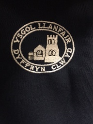 Ysgol LLanfair Polo Shirt