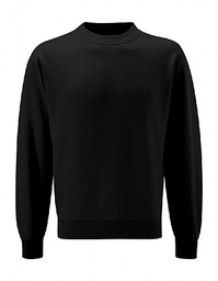 Ysgol Plas Brondyffryn 6th Form Black Sweater 3SD