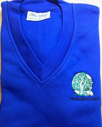 Ysgol Bryn Clwyd Cardigan Small/Medium (Dark Royal) 3SC