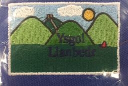 Ysgol Llanbedr Polo Shirt Small/Medium (Navy/White)