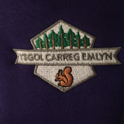 Ysgol Carreg Emlyn Cardigan Small/Medium (Purple) 3SC