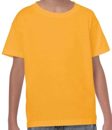 Brynhyfryd Pe T Shirt (GD05B) - smaller sizes