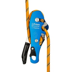 [D31] PRISM descender