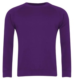 [3SX Classic Crew Neck Sweatshirt] 3SX Classic Crew Neck Sweatshirt Adults