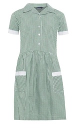Ysgol Llanfair Gingham Dress Green